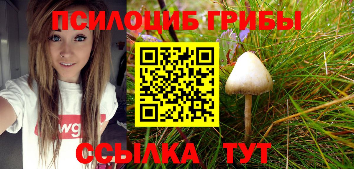 Псилоцибиновые грибы мухоморы Дмитров