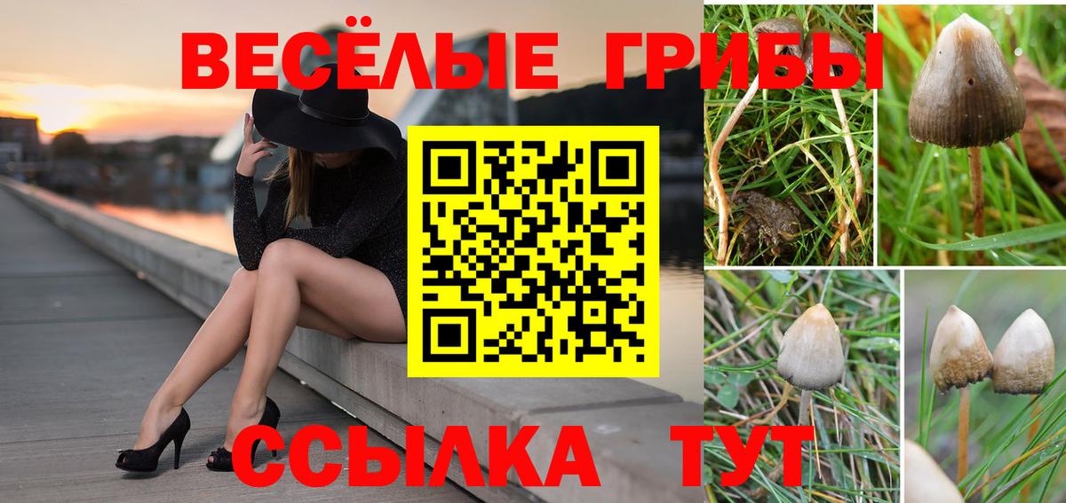Псилоцибиновые грибы Magic Shrooms  Вход с VPN  Дмитров 