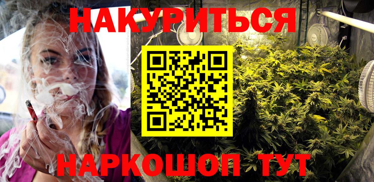 Бошки Шишки гибрид Дмитров